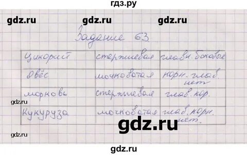 Задание 63