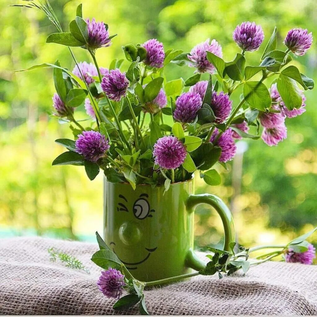 Прекрасного утра с цветами. Утренние цветы. Цветы в чашке. Чудесного утра. Полевые цветы.