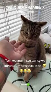 Топ неожиданных концовок