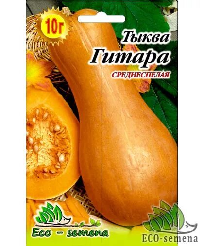 Тыква гитара описание