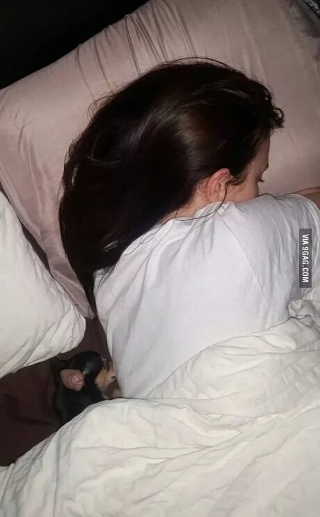 Bed Time Series