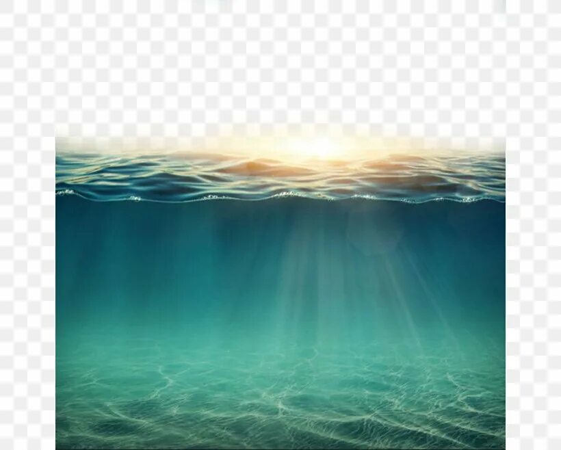 Aquatic ambience slowed reverb. Тихий океан клипарт. Океан PNG. Стекло наполовину внутри моря. Aquatic ambience.