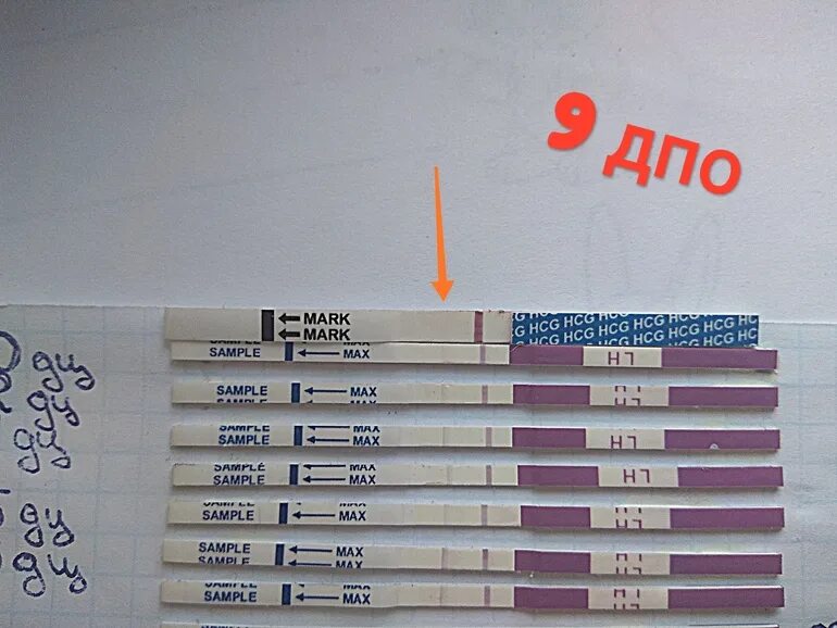 Тест на беременность после овуляции форум
