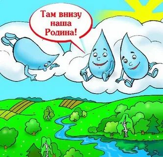 Где дождик