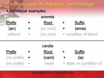 Terms examples
