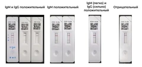Показатели экспресс теста