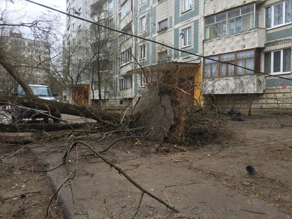 Почему нет новостей сегодня. Ураган в Рязани. Торнадо в Рязани. Ураган в Рязани сегодня. Шторм в Рязани сейчас.