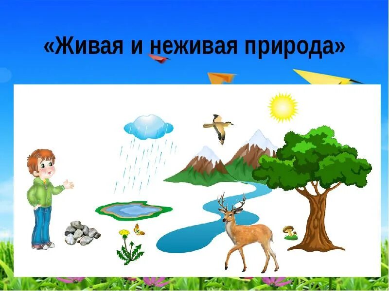 Живая и неживая природа. Живая и неживая природа картинки. Живая и неживая природа весной. Нарисуй живую природу