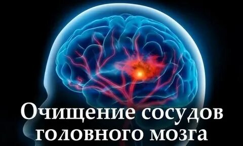 Чистка мозгов
