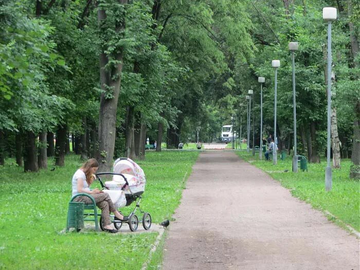 Лосиноостровский парк купить. Парк Торфянка Москва. Лосиноостровский район парк. Лосиный Островский парк. Парк Торфянка ЖК.