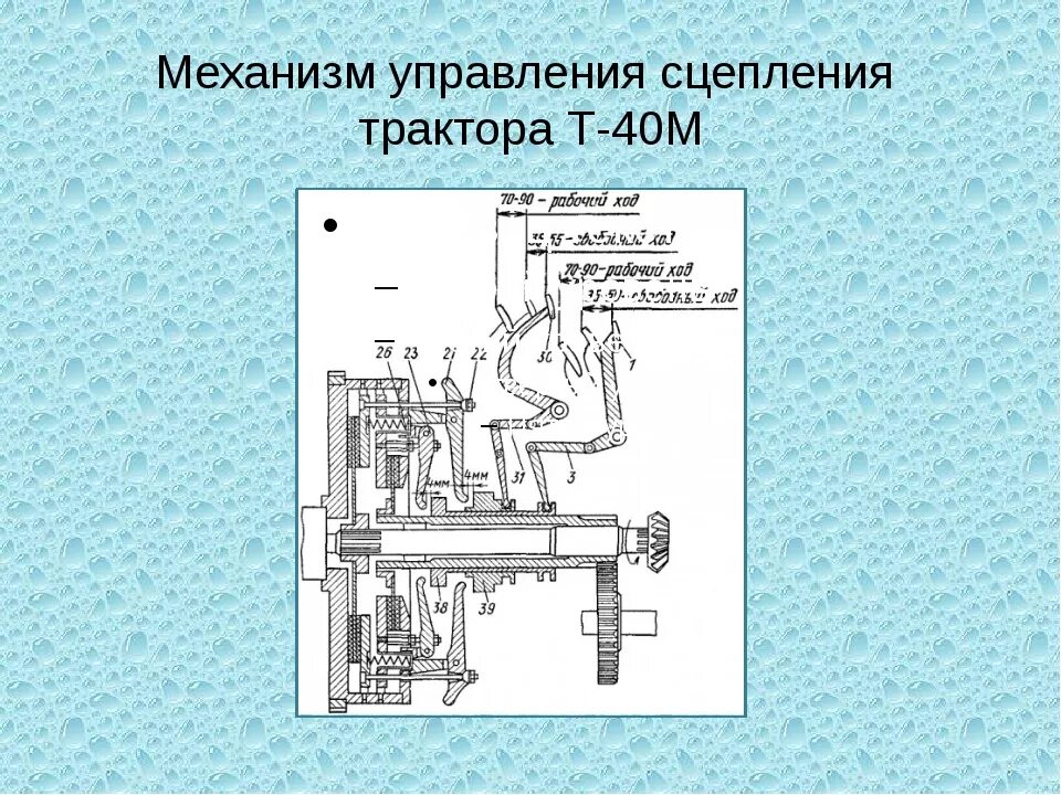 Регулировка сцепления т 40. Схема сцепления трактора т-40. регулируем сцепление трактора т40. сцепление вом трактора т40. регулировка сцепления на тракторе т 40 ам.