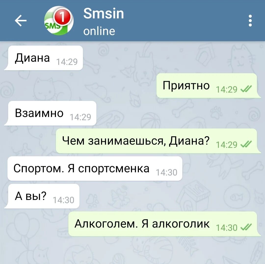 Как ответить на вопрос чем занимаешься мужчине. Переписки про алкоголь. Переписка с Дианой. Спортом я спортсменка алкоголем я алкоголик. Приколы про Диану.