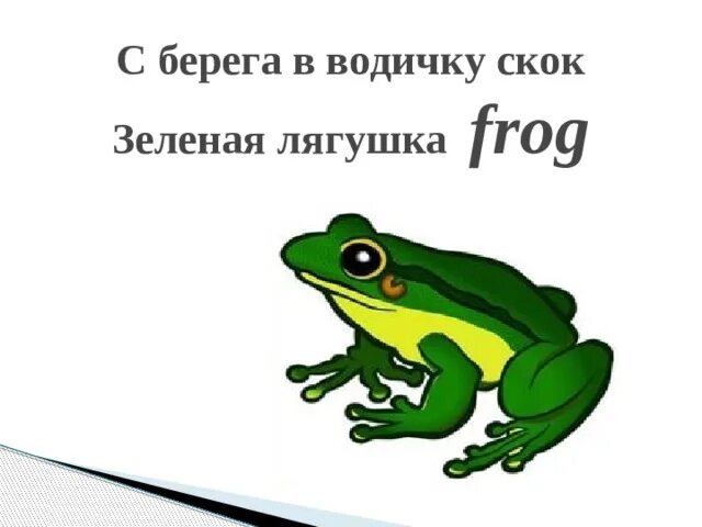 Frog транскрипция. Frog транскрипция. Frog транскрипция. Карточки с английскими словами. Лягушка frog карточка.