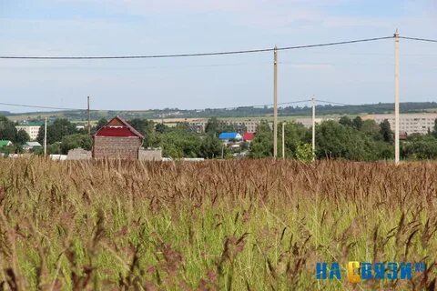 Земельный участок многодетным в краснодарском