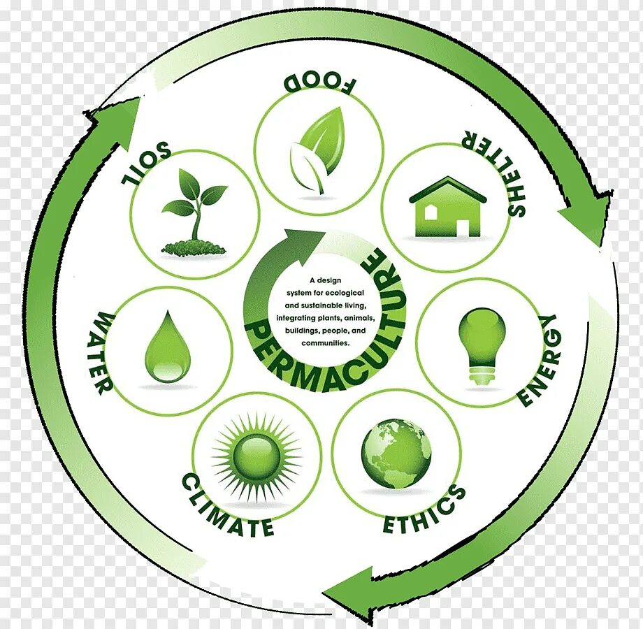 Пермакультура. Окружающая среда дизайн. Экология дизайн. Пермакультура принципы работы. Ecology ecological