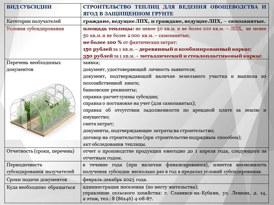 Грантовая поддержка предпринимателей. Социальный контракт для малоимущих семей. Социальный контракт. Самозанятый субсидия 2023. Страховые взносы самозанятых в 2023 году.