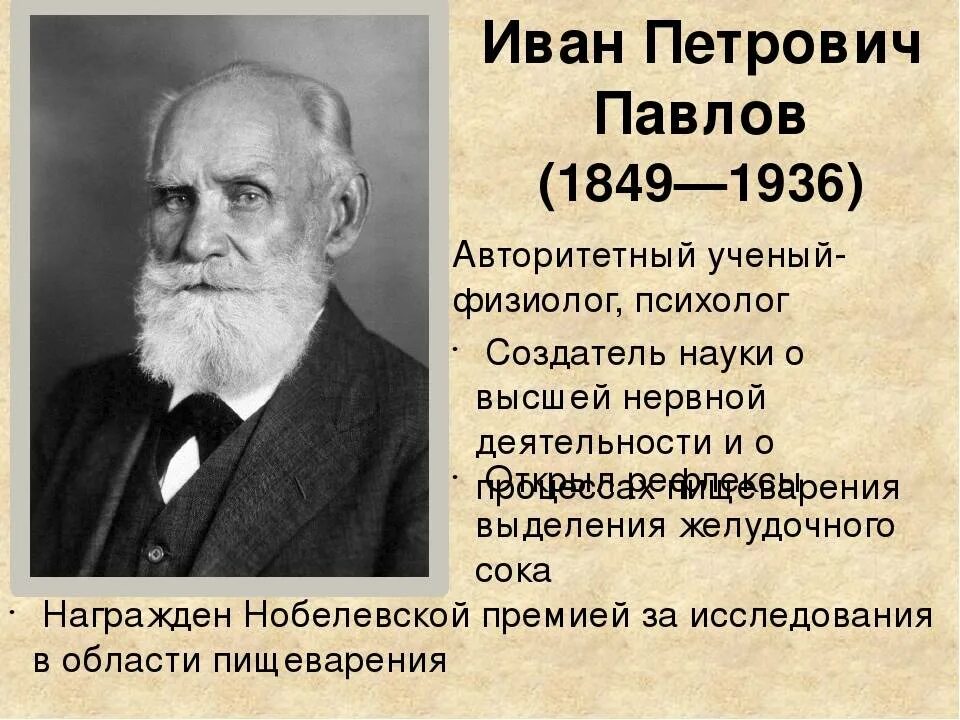 Наука и п павлова. Ивана Петровича Павлова(1849 – 1936).