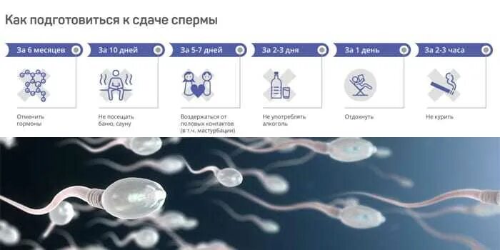 Куда Девать Сперму После Секса