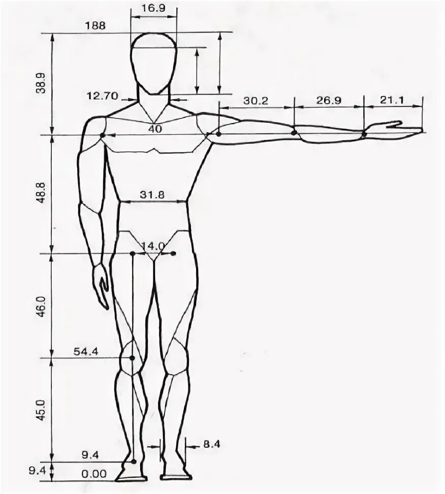 Человеческая фигура. Схема человека. Эргономические фигуры человека вид сверху. Габариты человеческого тела. Рост человека изменчивая величина