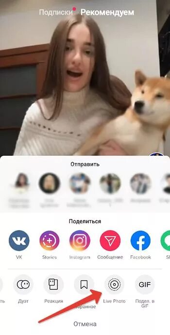 Как установить видео в тик ток. Как поставить на обои видео из тик тока. как поставить живые обои из тик тока. как поставить живые обои на андроид из тик тока. как поставить обои из тик тока на экран.