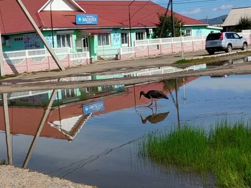 Село Кыра Забайкальского края. Кыра Забайкальский край, Кыринский район. Кыра Забайкальский край с Кыра. Достопримечательности Кыры. Погода в забайкальском крае в кыре