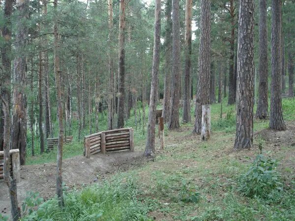 Буревестник новосибирск. Лыжная база Буревестник Воронеж. Спортивная база «Буревестник». Спортивная база Буревестник, Воронеж. Лыжная база на Ломоносова Воронеж.