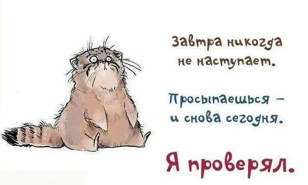 Все в меня будет хорошо: найдено 83 изображений