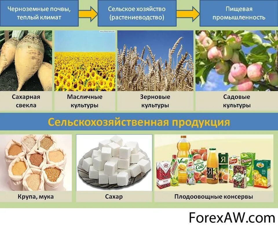 Какие товары произведенные при помощи. Растениеводство технические культуры. Какие товары произведенные при помощи. Центрально-черноземный район сельскохозяйственные культуры. Отрасли отрасли растениеводства.