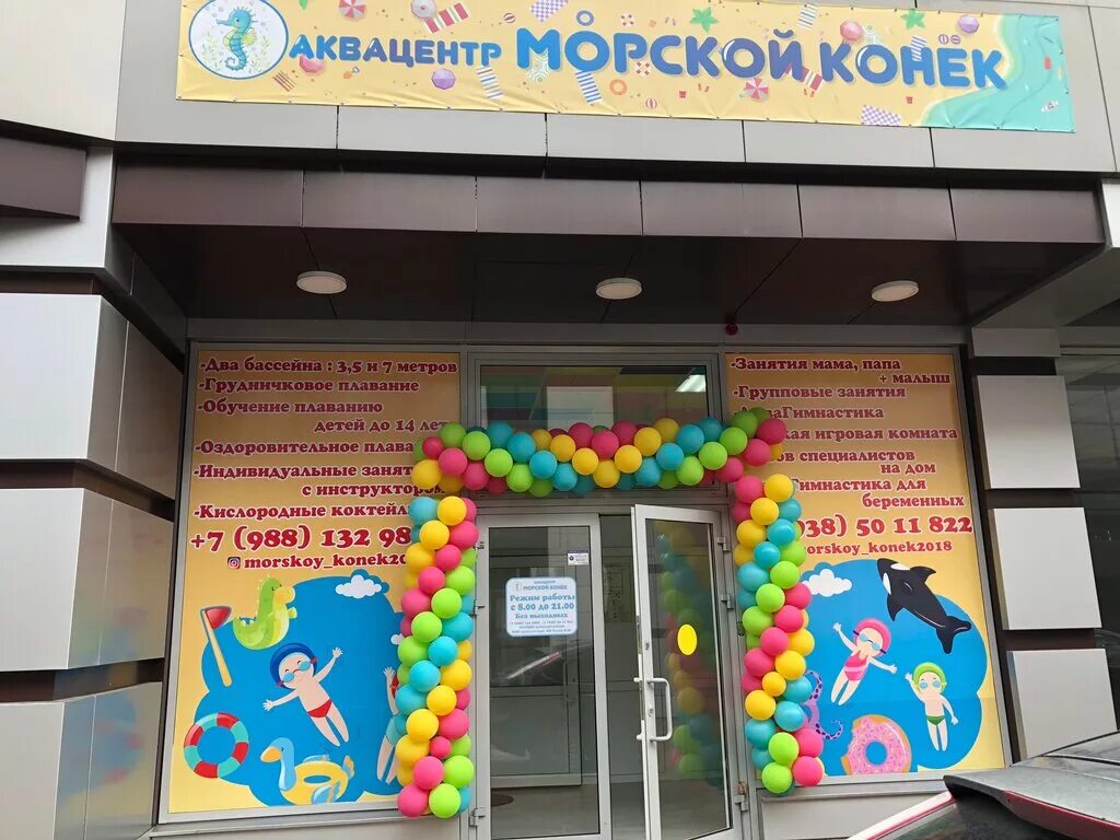 GISMETEO: 8 удивительных фактов о морских коньках