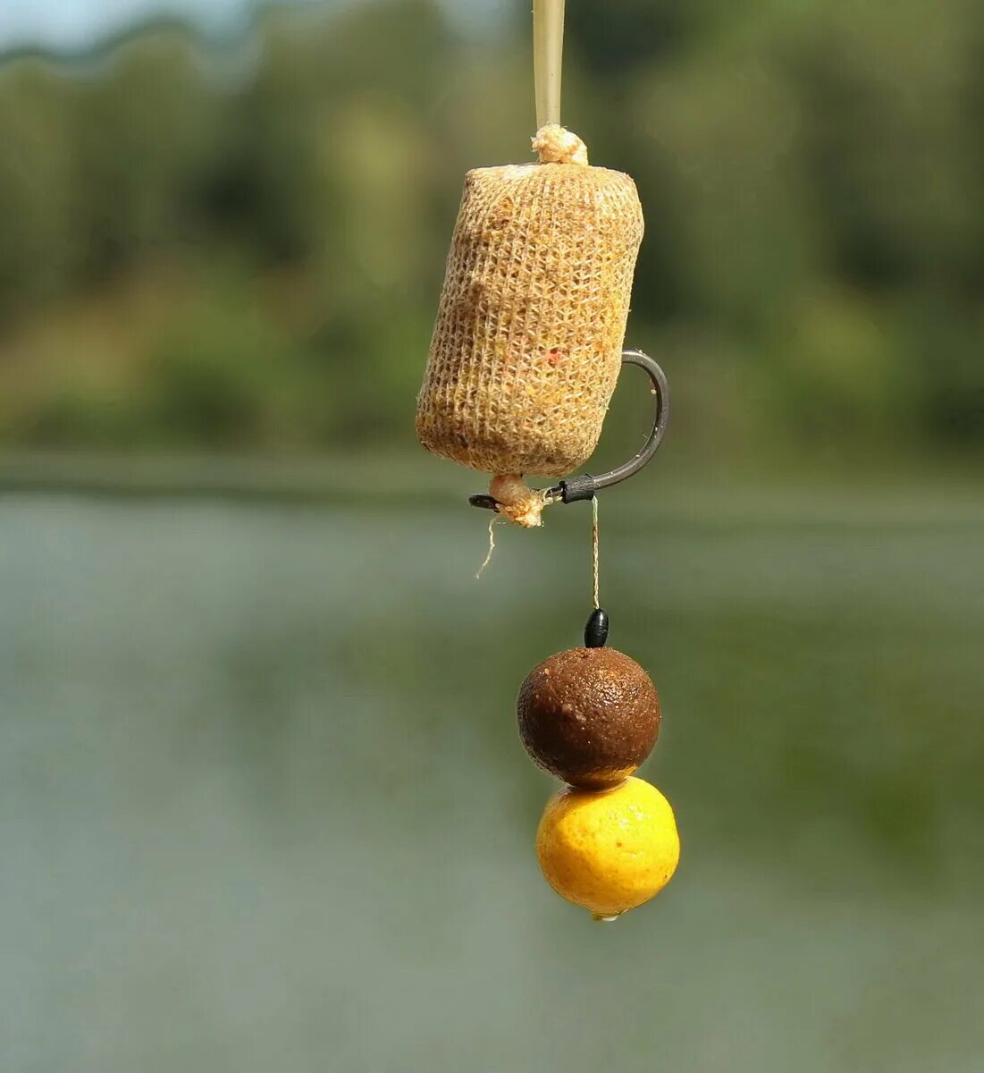 Ловля карпа. Карп на вертушку. На что ловить карпа. Рыбалка на карпа. Ловля белого амура снасти прикормка.