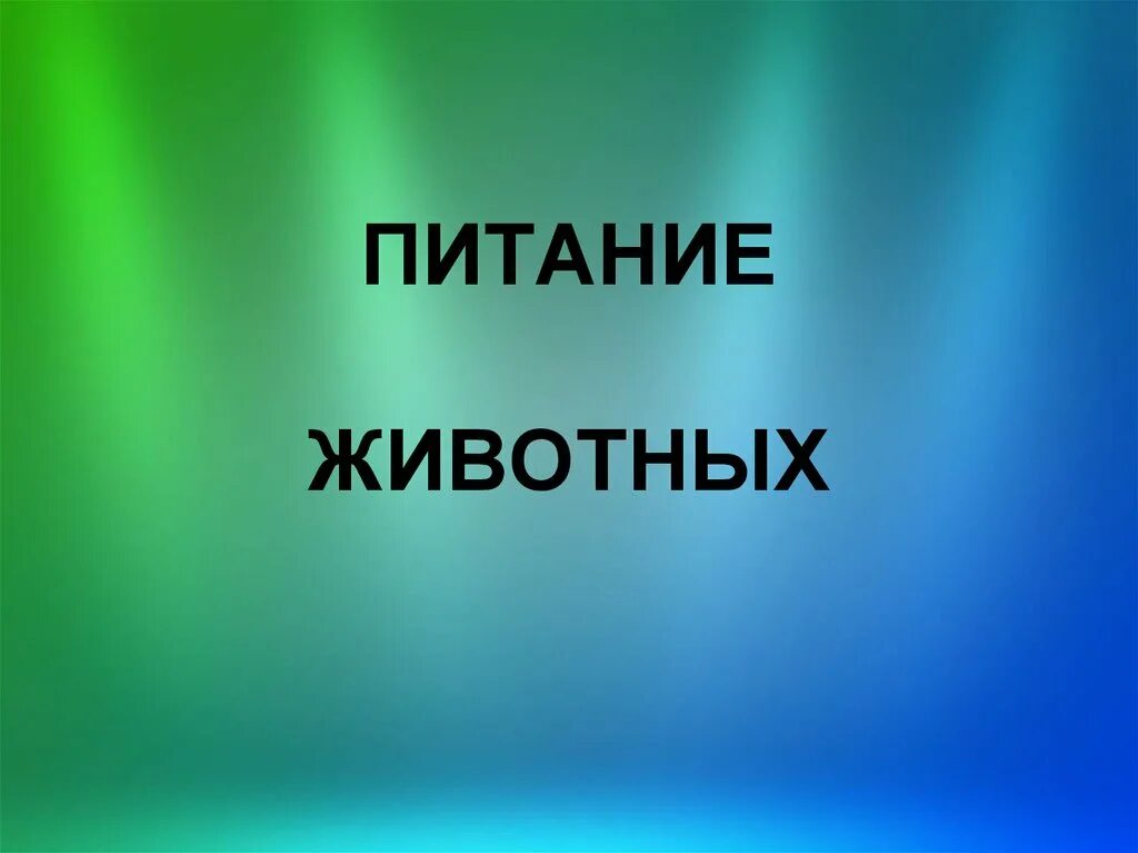 Питание животных 6 класс. Питание животных 6 класс биология. Презентация по биологии 6 класс питание животных. Картинки питание животных биология 6 класс. Шаблон для презентации питание животных.