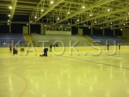 Ледовый дворец брянск бежица расписание