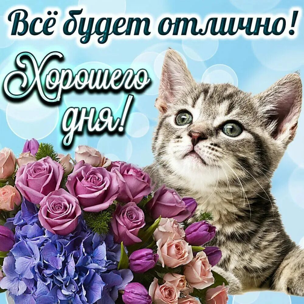 Праздник хорошего настроения картинки. Хорошего дня и отличного настроения. Пожелания хорошего дея. Хороший день. Пожелания доброго дня.