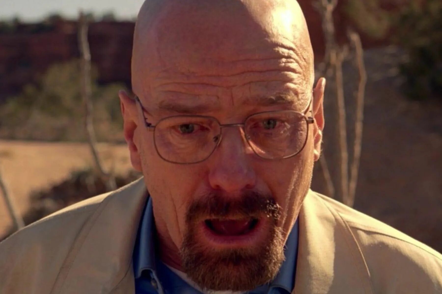 He gave us up. Breaking Bad Уолтер Уайт. Брайан Крэнстон Breaking Bad. Уолтер Уайт Мистер Хайзенберг. Уолтер Хартвелл Уайт лысый.