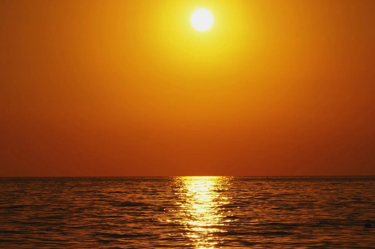 VitaminSea YouTube