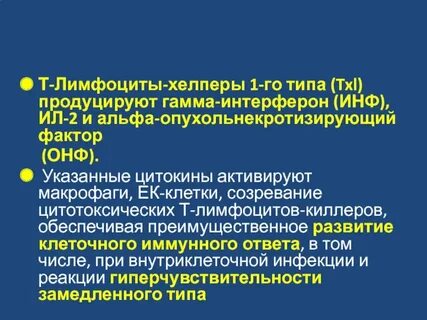 Т лимфоциты хелперы