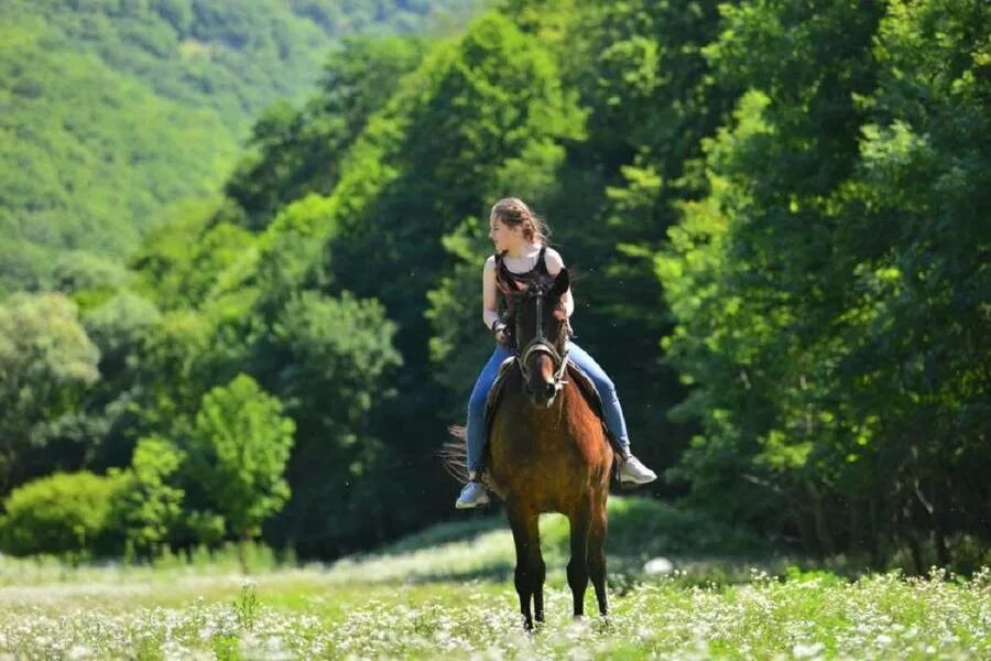 Ущелье Мишоко Конная прогулка. Конные прогулки Туапсинский район. Село красное Туапсе конные прогулки. Альпийские Луга Абхазия Конная прогулка. Конные прогулки адлер