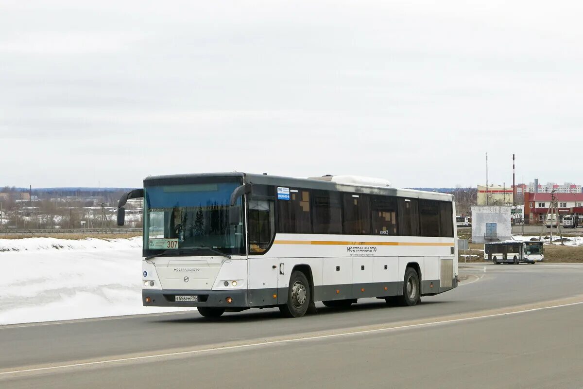 Автобус куровское кольцевой. ЛИАЗ 5250 Вояж. Остекление ЛИАЗ 5250. ЛИАЗ 5250 спереди. Автобус ЛИАЗ 5250 Подмосковье.