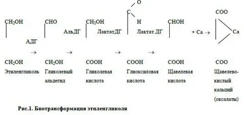 Щавелевая кислота метанол реакция