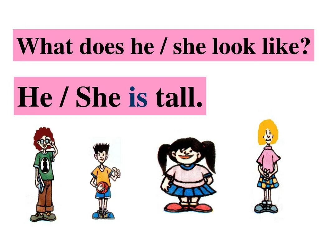 What is he like и what does he look like разница. What does she look like. Вопрос what does she look like. What is she like what does she look like разница.