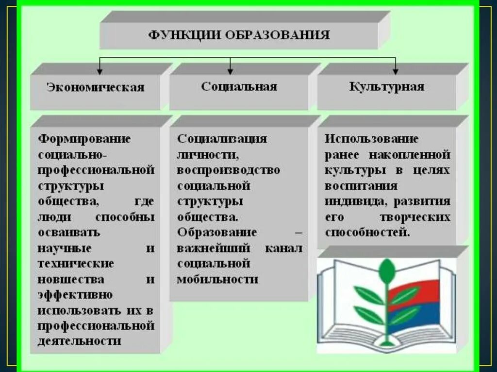 Какова функция образования в обществе. Образование функции образования. Социальная функция образования. Общественные функции образования. Функции образования Обществознание.