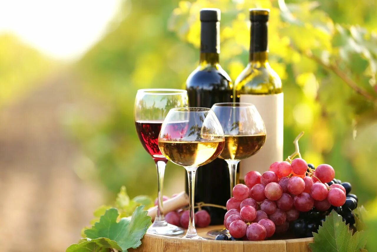 Натюрморт с вином. Вино в красивой бутылке. Вино фон. Бокал красного вина. Still wine.
