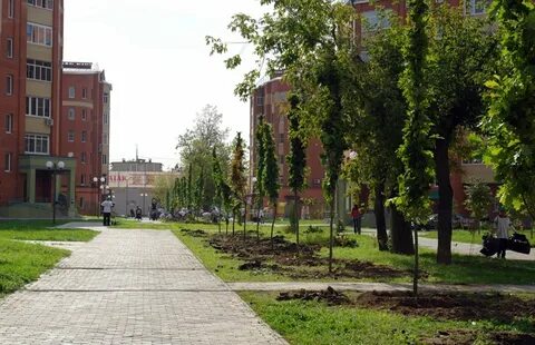 Лесной фрязино отзывы