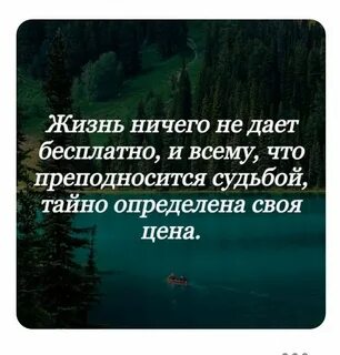 Жизнь ничего не дает