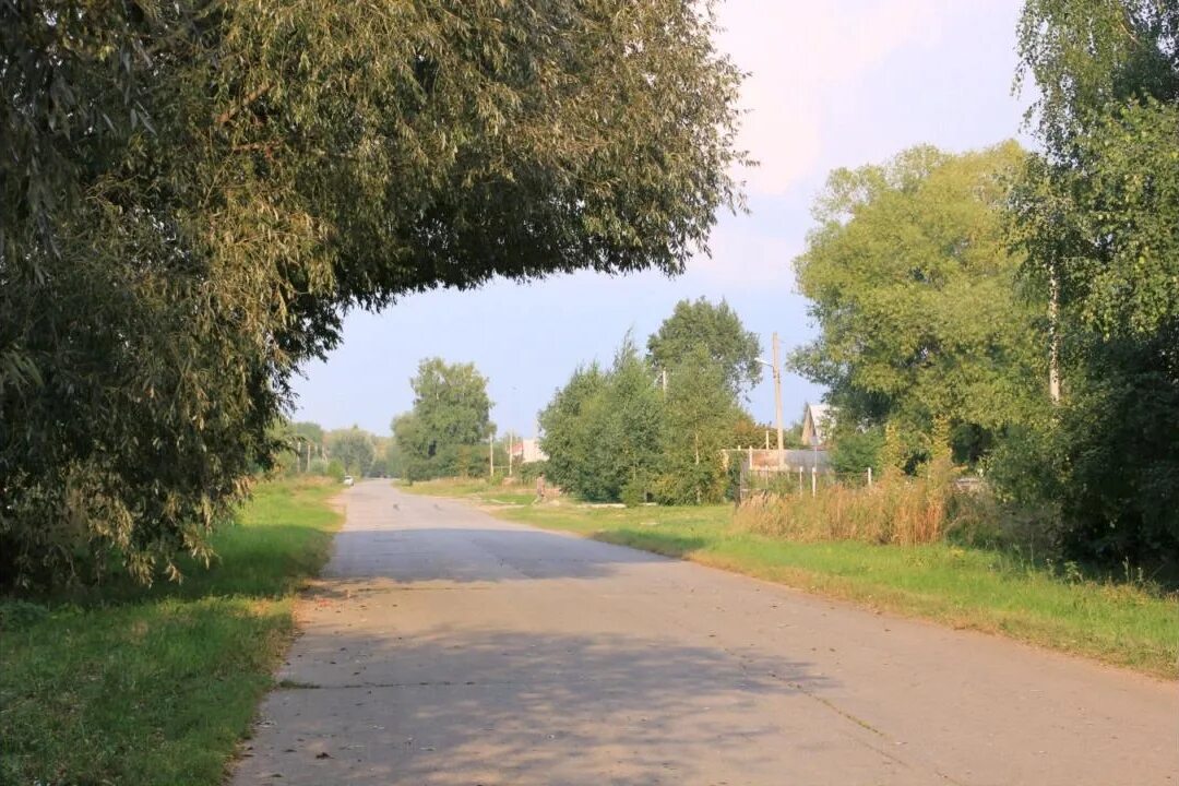 Добрые пчелы рязанская. Село захарово рязанская область.
