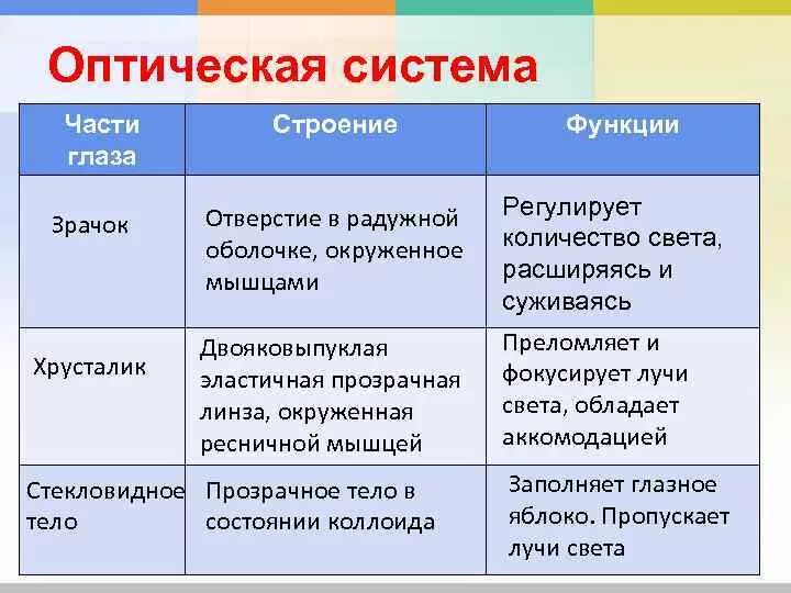 Заполните таблицу строение органа зрения. Структура глаза строение и функции. Оптическая система глаза функции. Оптическая система глаза таблица. Оптическая система строение и функции.