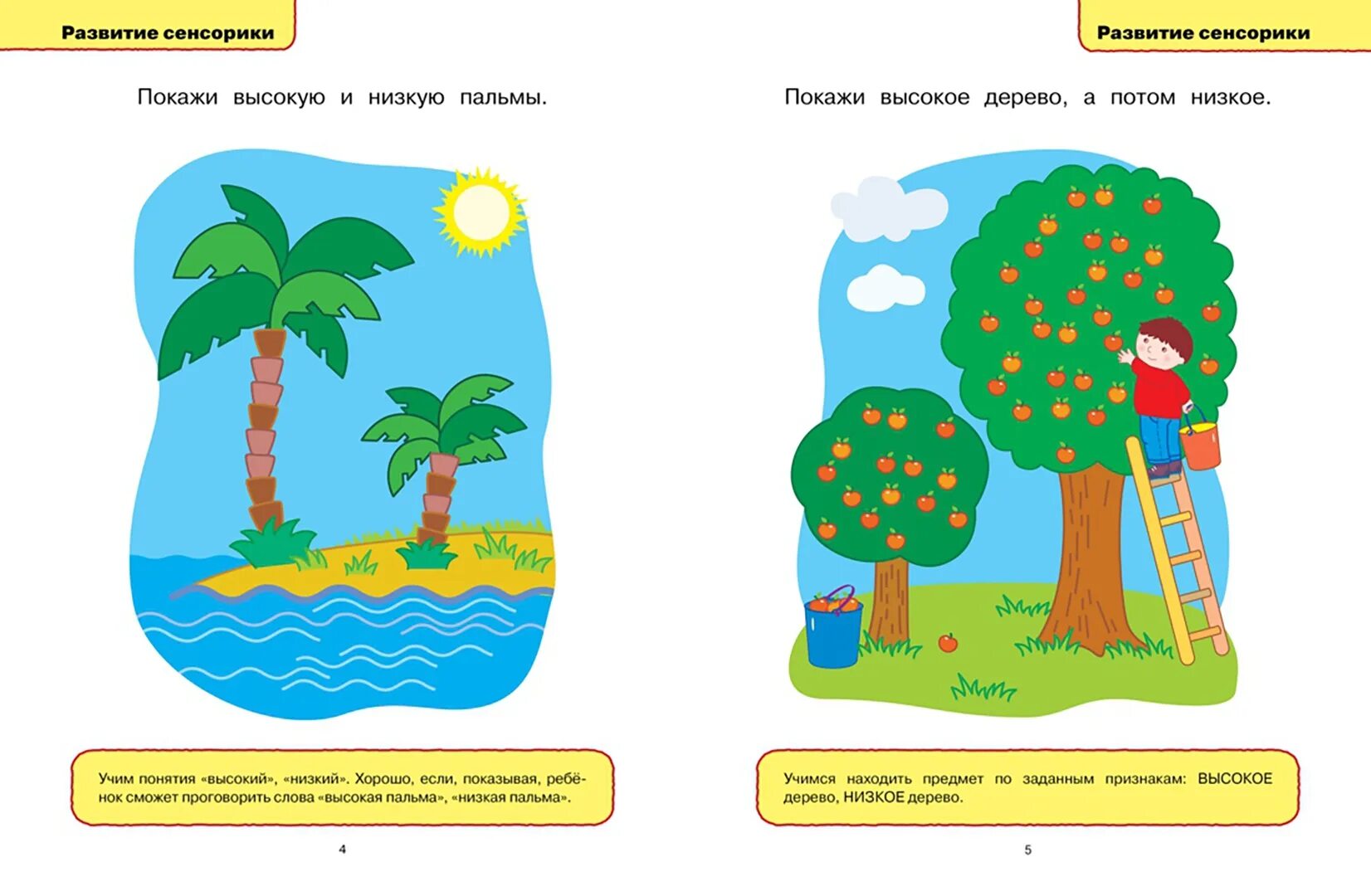 Умные книжки земцова логопедические. Тест для ребенка 1 год. Земцова о. Тест для ребенка 1 год. Вправо-влево, вверх-вниз (3-4 года)".