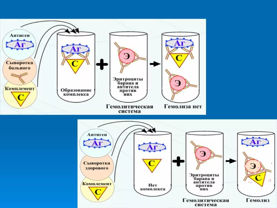 Иммунный гемолиз. Реакция связывания комплемента РСК микробиология. Реакция связывания комплемента схема. Реакция связывания комплемента микробиология схема. Схема постановки реакции связывания комплемента РСК.