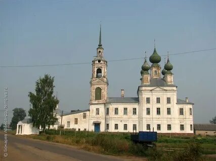Шунга костромской