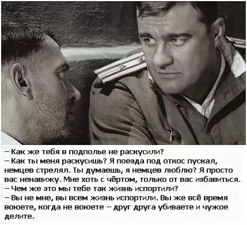 Сын пореченкова на сво правда. Ты думаешь я немцев люблю. Академик ликвидация. Я люблю немцев.